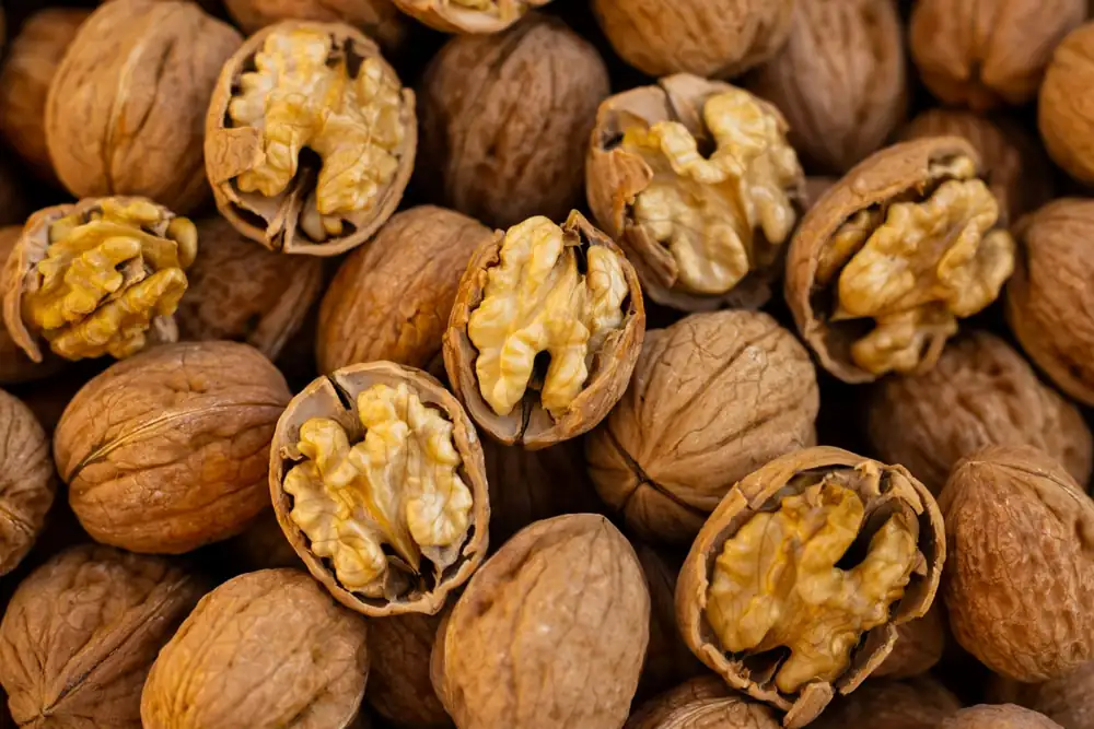 The ultimate grocery nut guide: 8 types of nuts explained