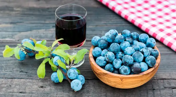Vino de endrinas casero