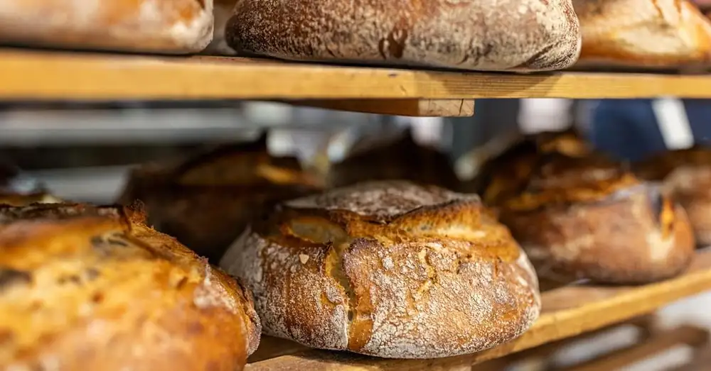 September 2026: Sourdough