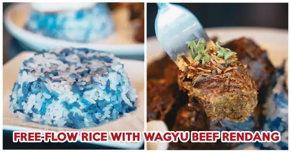 Elixir Boutique Roasters Review: Dual Identity Cafe Serving Wagyu Rendang With Free-Flow Blue Pea Nasi Lemak