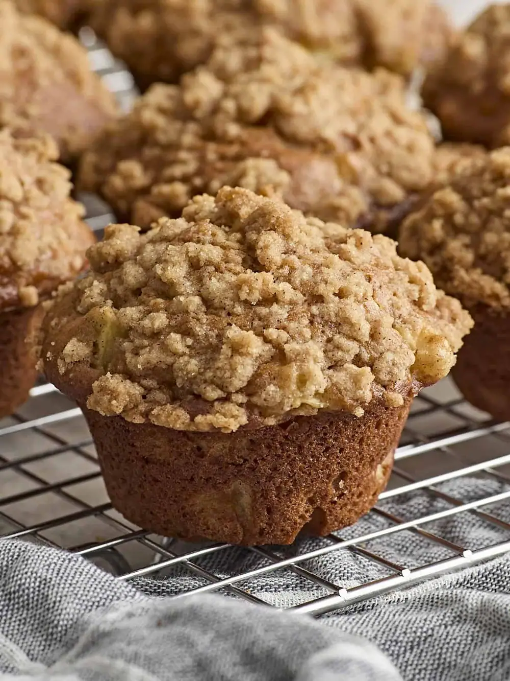 Apple Cinnamon Muffins