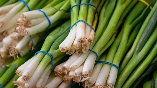 White And Green Scallions Actually Have Different Purposes In Cooking