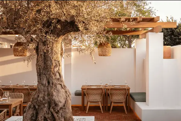 CIRO RESTAURANT: In the beginning there was fire