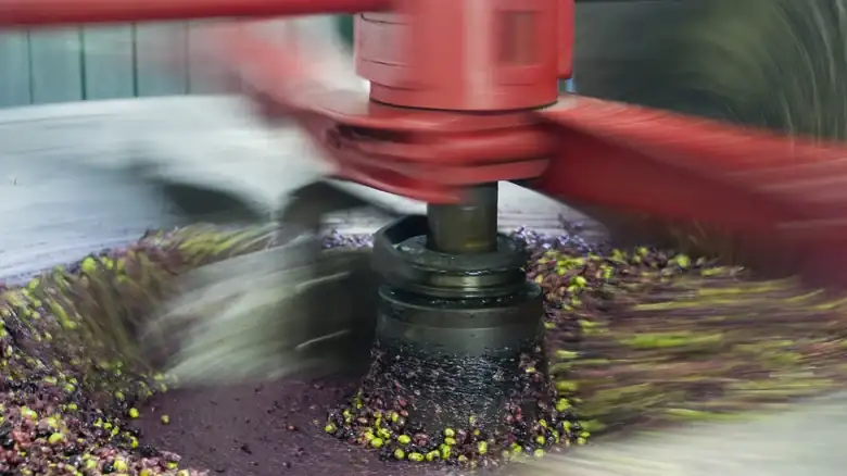 What Temperature Are Cold Pressed Oils Made At