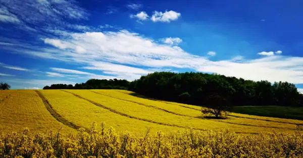 Benefits of regen ag still unclear, says EIT: 'Consumers do not pay attention to soil health when buying food'