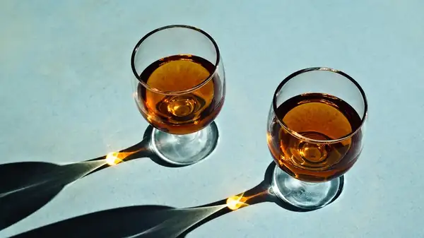 What Is Brandy Really Made From?