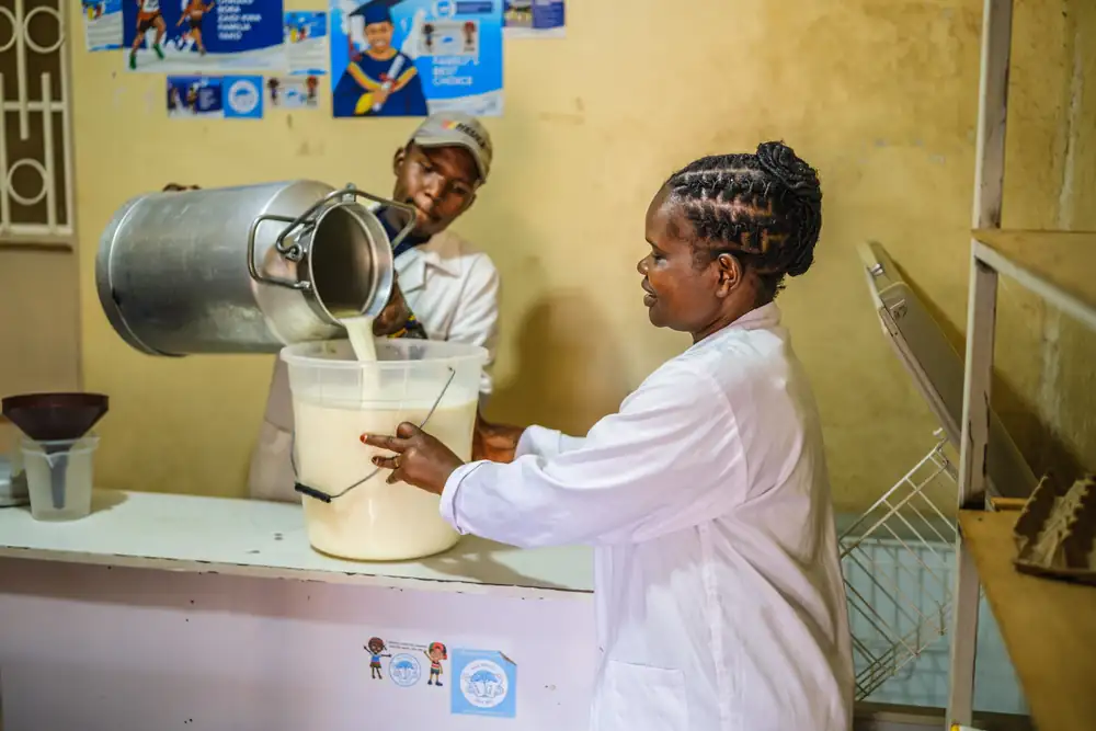 Milk deliveries fall 3.7% as dry, cold weather triggers supply squeeze