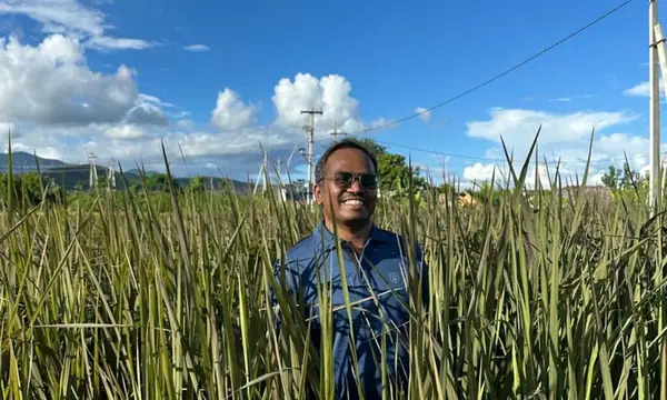 Transitioning Away from Chemical Fertilizers Pays Off