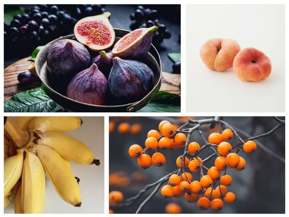 38 Fantastic Fruits Starting with F