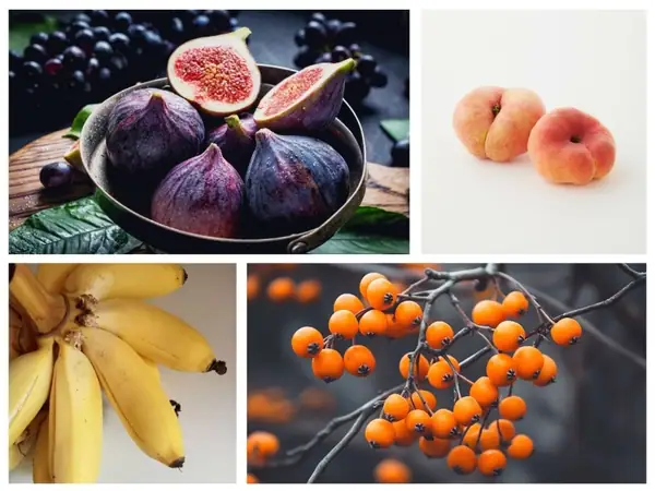 38 Fantastic Fruits Starting with F