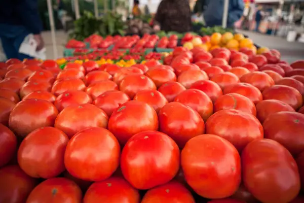 The Tomato in Winter