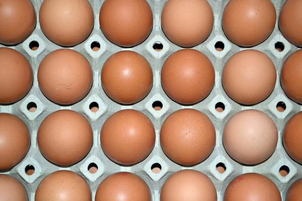 Opinion: 50 Shades of Food Transparency