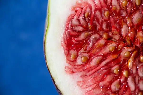 Which fruit seeds can we eat?