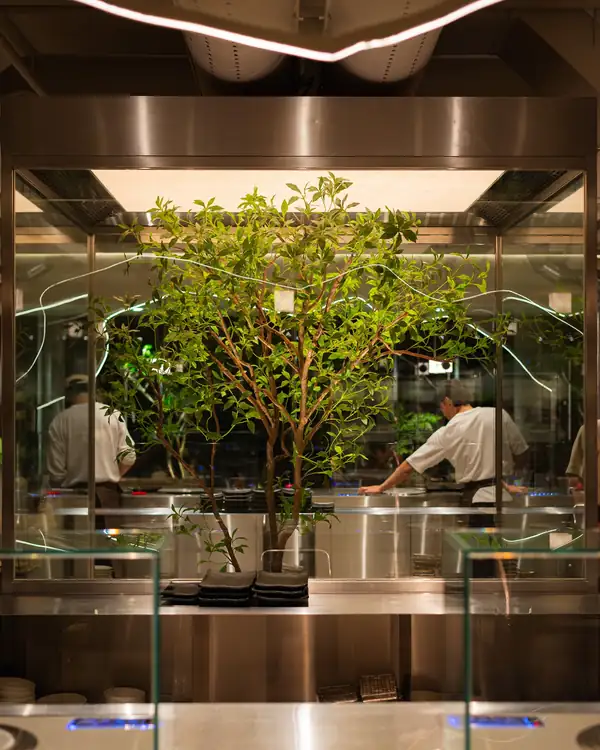New Aesthetic Korean Steakhouse Opens At National Gallery With Smokeless Charcoal Grills