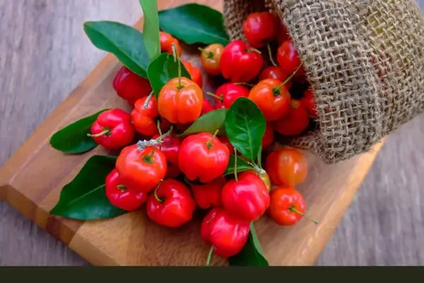 Fruits of Barbados (What the Locals Eat)