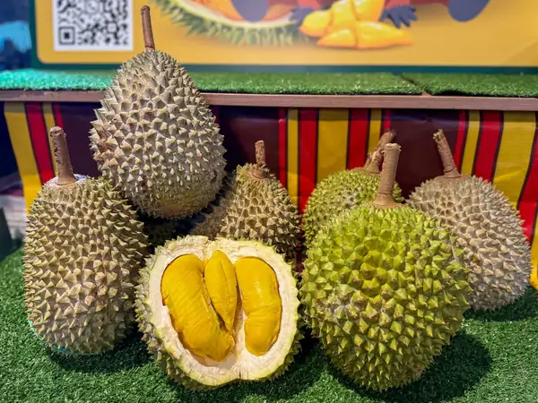 Yue At Aloft Has 1-For-1 MSW Durian Buffet In Novena