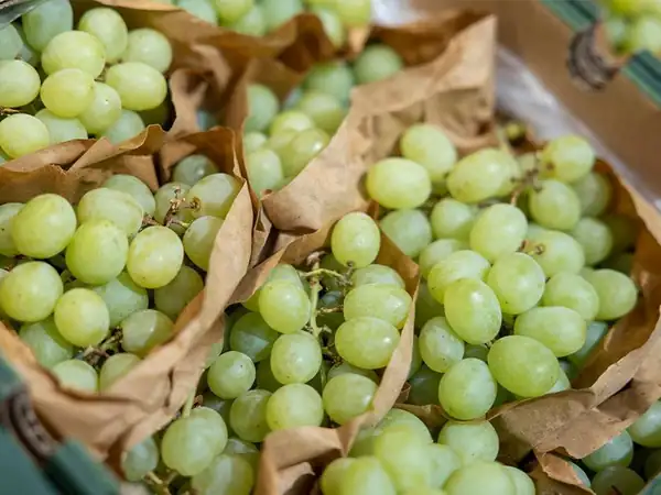 Four simple methods for drying grapes at home