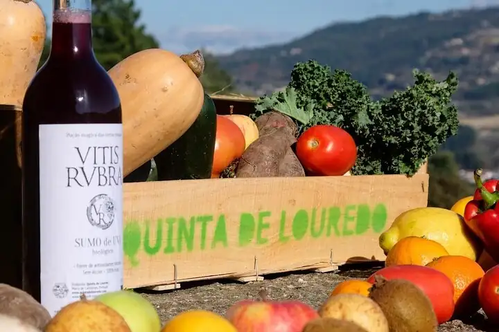 Portugal Foodie Stays: Find 7 Gourmet Getaways