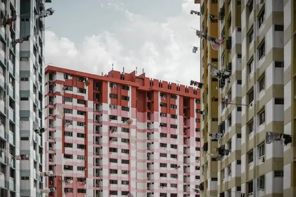Singapore food and housing agencies to rent out public rooftops for urban farms