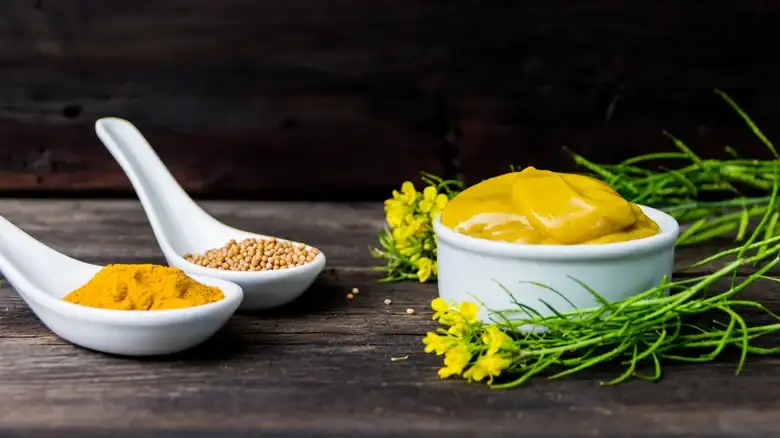 What's The Closest Substitute For Mustard?