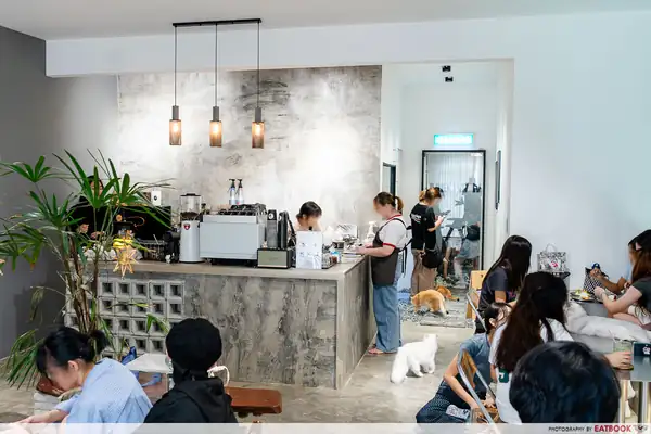 This JB Cafe Lets You Chill With Cats While Enjoying Tiramisu Latte And Desserts