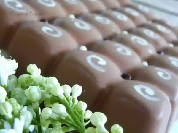 Crunchy praline mousse recipe with a milk chocolate shell