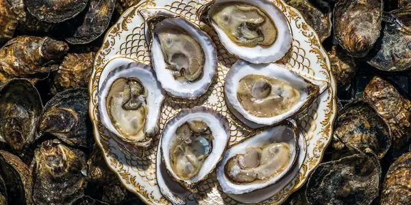 This Oyster Farmer Ditched His Desk Job for Life on the Water