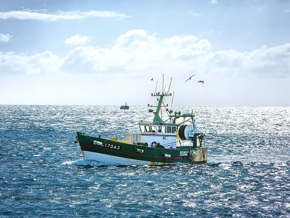 Fishing in Brittany: Tradition and daily freshness