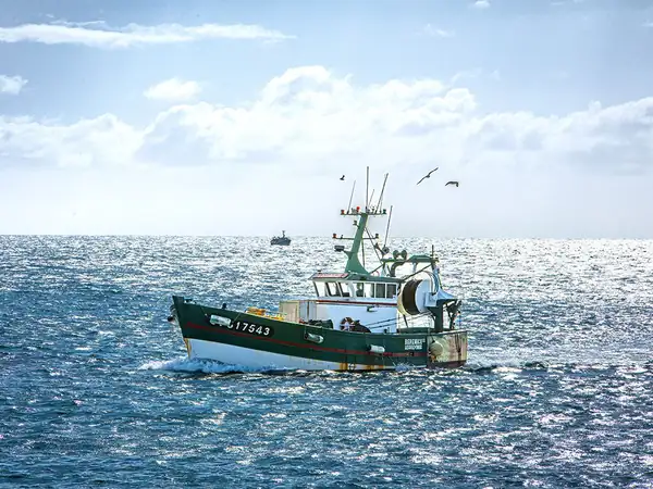 Fishing in Brittany: Tradition and daily freshness