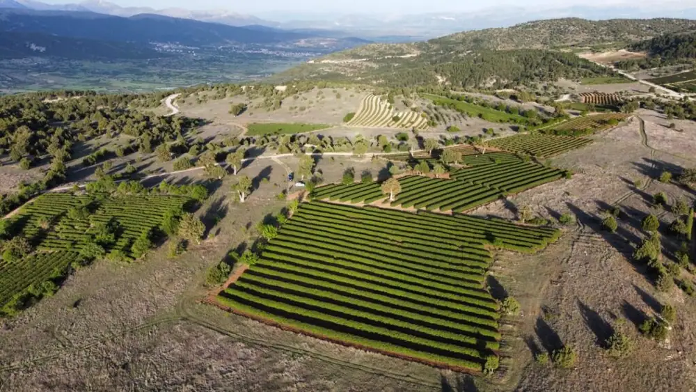From practices to proof: What credible farm-level sustainability measurement requires