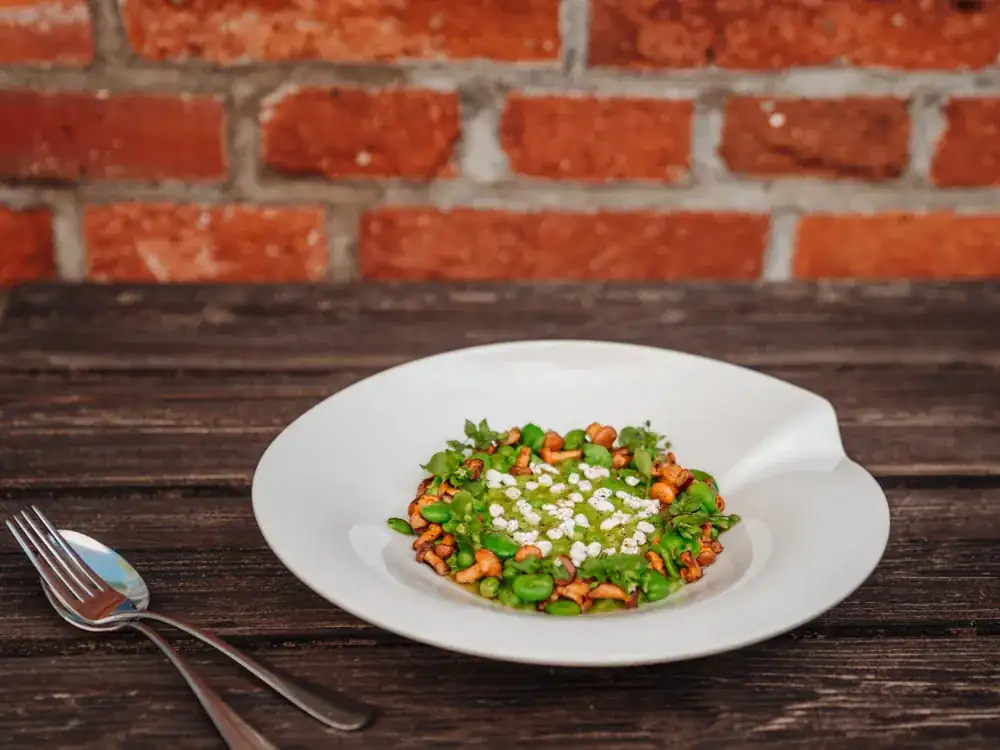 Risotto with broad beans