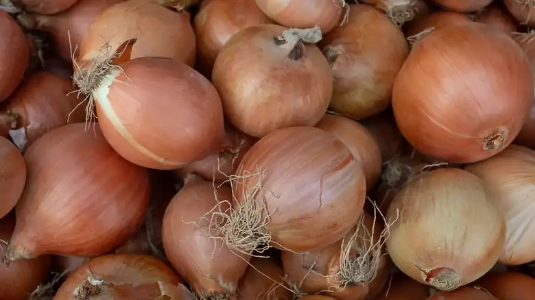 Why it's a mistake to store onions in the refrigerator