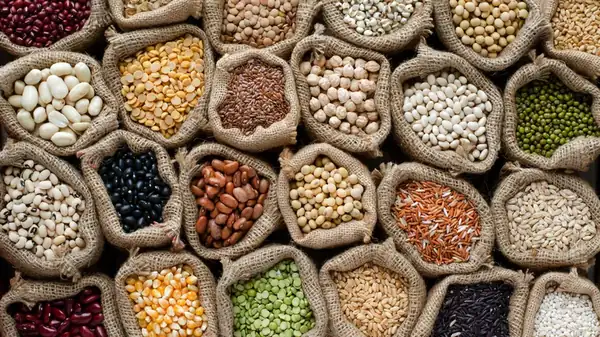 Cooked soybeans have more protein than other common legumes, such as chickpeas.
