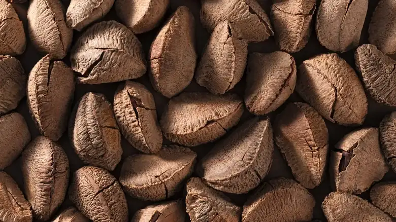 George Washington's Favorite Snack Probably Didn't Help Out His Teeth