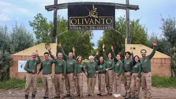 Against the Odds, Colombia’s Only Olive Farm Turns to Tourism