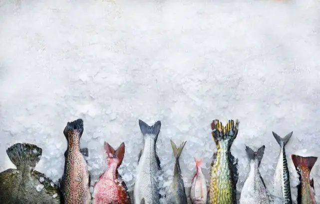 Five ways to cook saltwater fish and salmon according to their texture