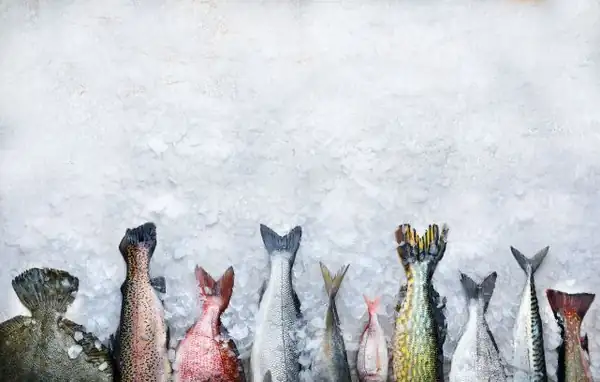 Five ways to cook saltwater fish and salmon according to their texture