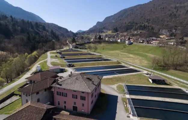La ola de calor y la sequía ponen en riesgo la trucha en la acuicultura italiana