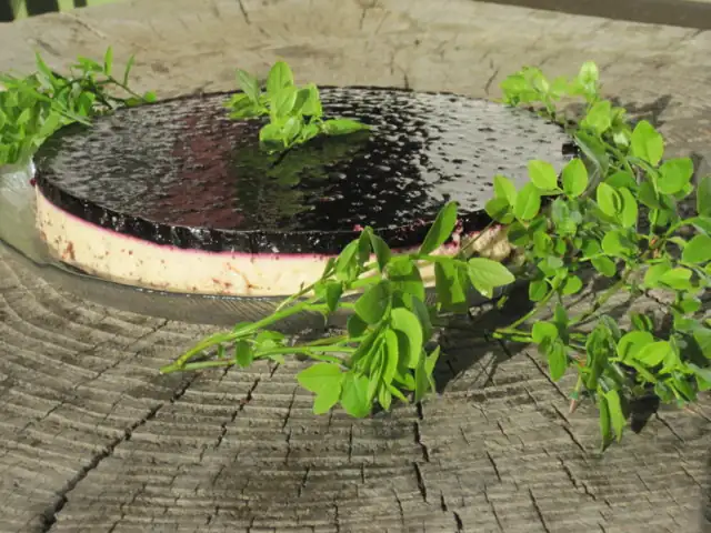 Blueberry-Marianne cheesecake
