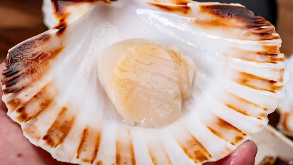 Anyone defrosting scallops is advised to check this detail before putting them in the pan