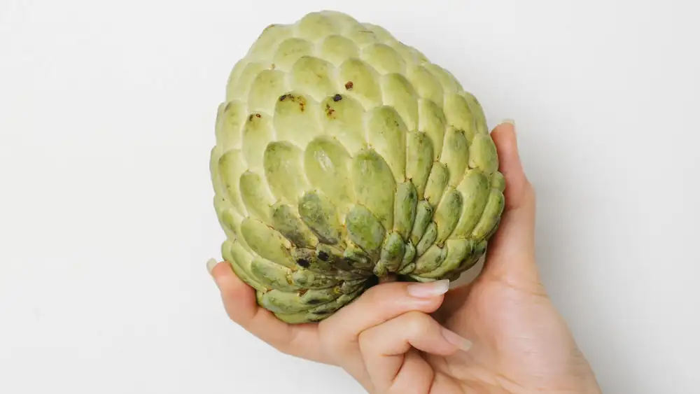 Why you should grow soursop in your garden