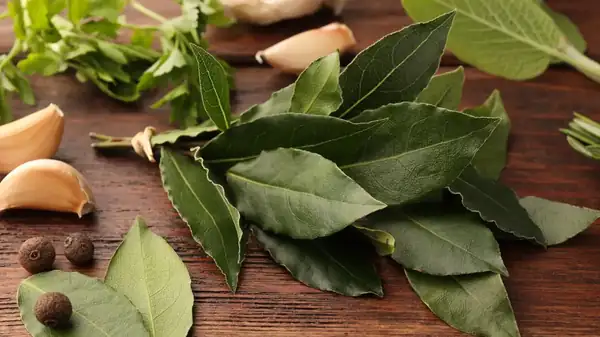 Slipping a bay leaf into an opened bag of flour: what is it for and why is it recommended?