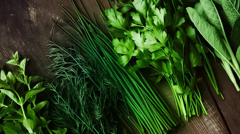 Repurpose A Common Kitchen Appliance To Easily Slice And Dice Your Herbs