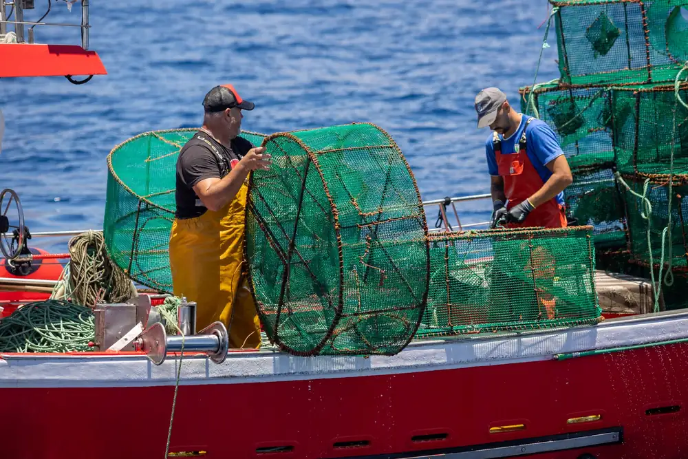 Eating fish: between necessity and dilemma