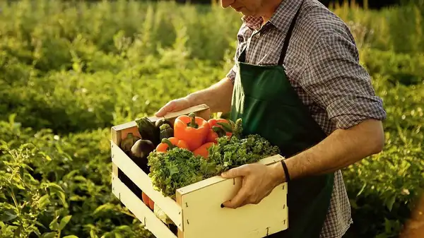 Cómo la agricultura regenerativa puede ayudar a afrontar las temperaturas récord