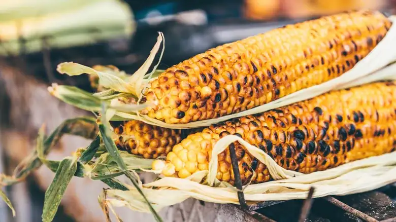 A barbecue expert explains how to perfectly grill an ear of corn.