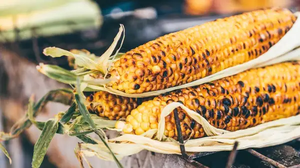 A barbecue expert explains how to perfectly grill an ear of corn.
