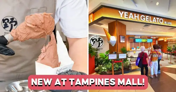 Popular Chinese Gelato Chain Opens In Tampines With Pistachio And Cheesecake Flavours
