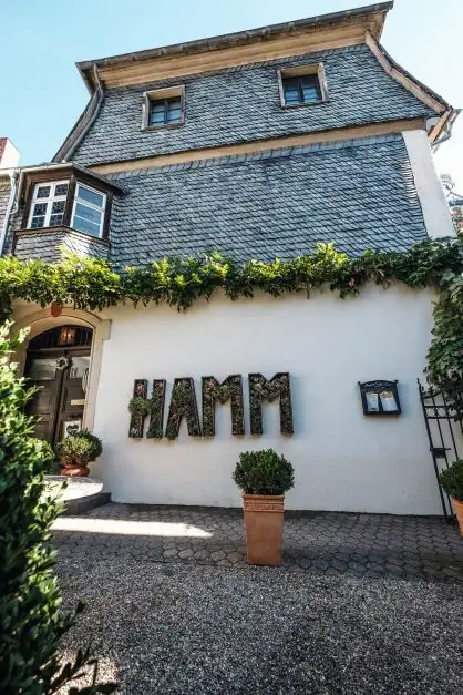 Young winegrowers from the Rheingau: Wine tips for connoisseurs