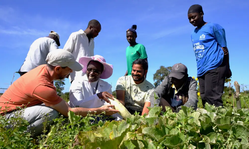 Stronger Crops, Lower Costs: Natural Farming in Zambia